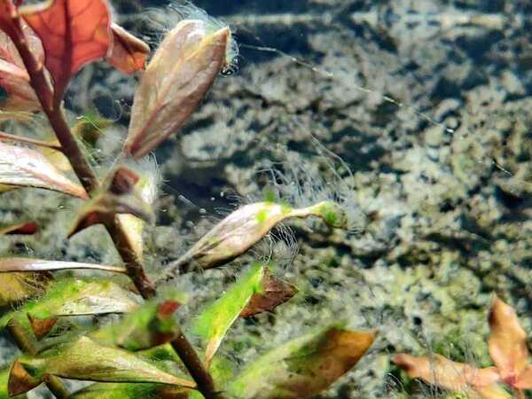 WhatsApp Image 2020-02-12 at 19.55.32.jpeg