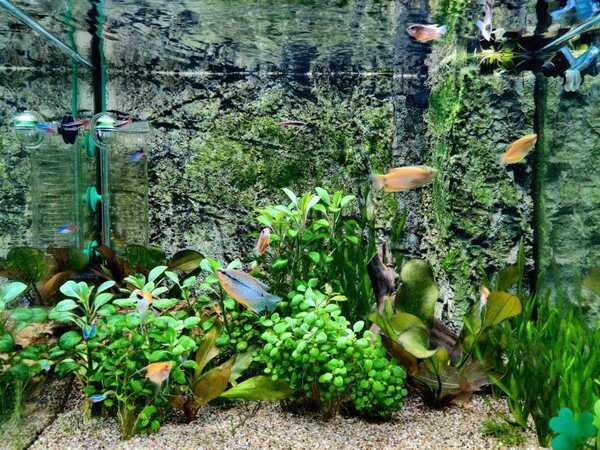 WhatsApp Image 2020-03-28 at 18.27.31.jpeg