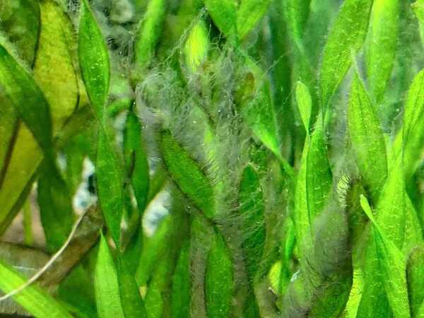 WhatsApp Image 2020-03-28 at 18.27.32 (1).jpeg