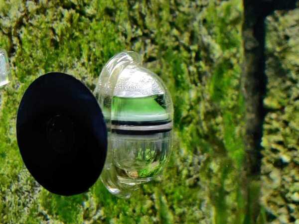 WhatsApp Image 2020-03-28 at 18.27.32 (2).jpeg