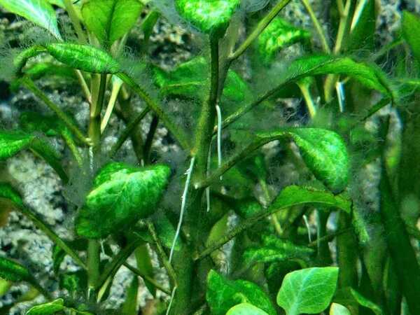 WhatsApp Image 2020-03-28 at 18.27.32.jpeg