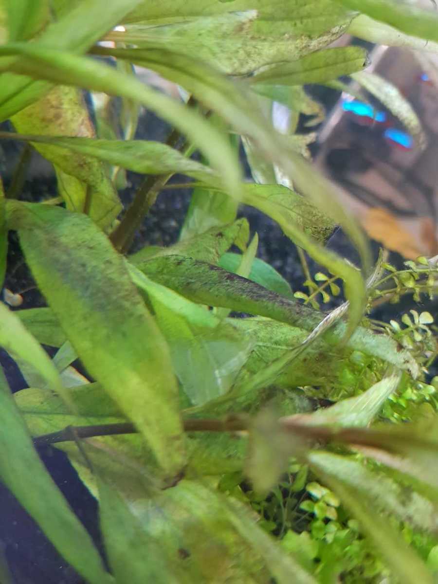 WhatsApp Image 2020-07-10 at 15.17.56 (1).jpeg