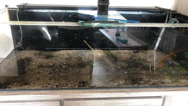 WhatsApp Image 2020-09-19 at 10.04.40.jpeg