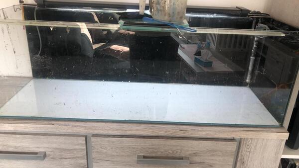 WhatsApp Image 2020-09-19 at 10.34.31.jpeg