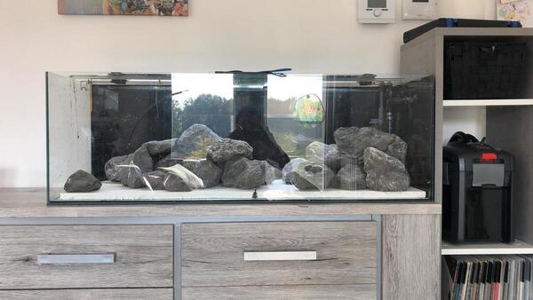 WhatsApp Image 2020-09-19 at 11.09.05.jpeg