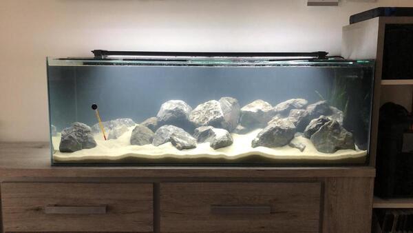 WhatsApp Image 2020-09-19 at 12.49.25.jpeg