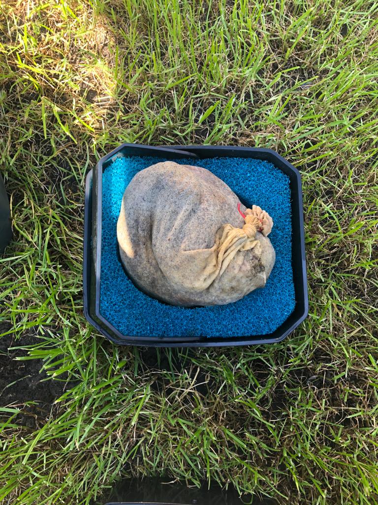 WhatsApp Image 2020-10-18 at 10.32.41 (1).jpeg