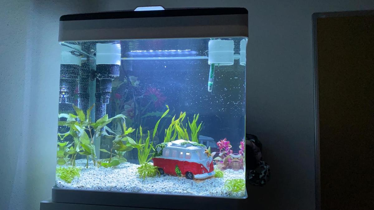 eend Toestemming Dierentuin s nachts wat is de beste stille filter voor een nano-aquarium? | AquaForum