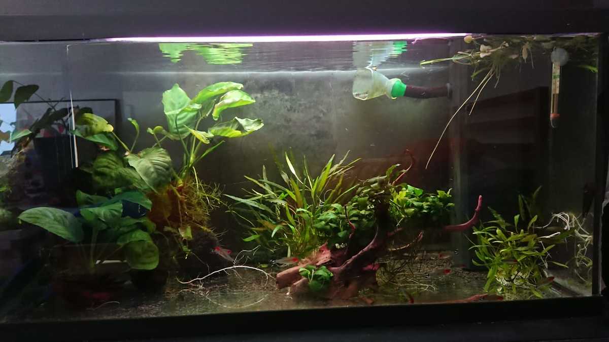 WhatsApp Image 2021-05-21 at 15.30.59.jpeg