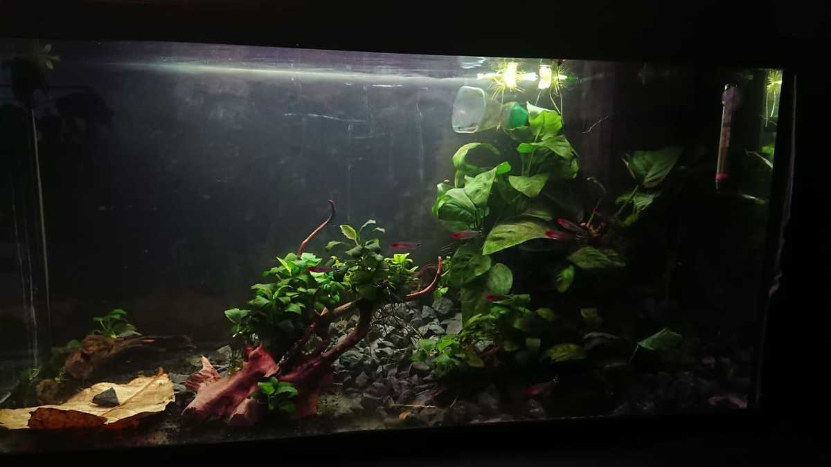 WhatsApp Image 2021-05-28 at 20.08.35.jpeg