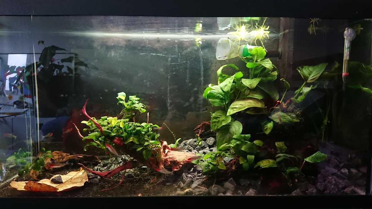 WhatsApp Image 2021-05-29 at 12.41.40.jpeg