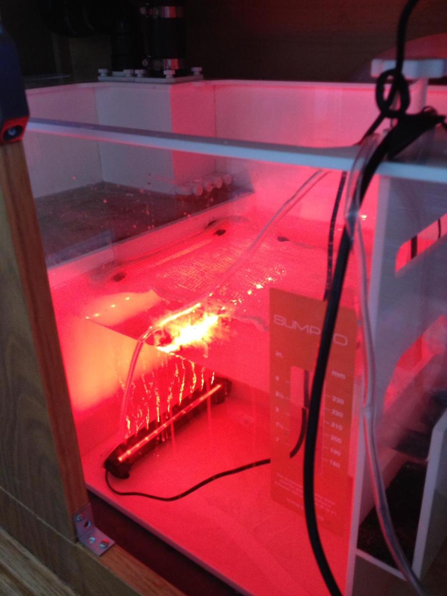 WhatsApp Image 2021-08-03 at 15.00.18.jpeg