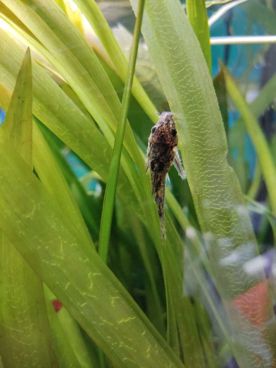 WhatsApp Image 2022-01-10 at 17.17.08.jpeg