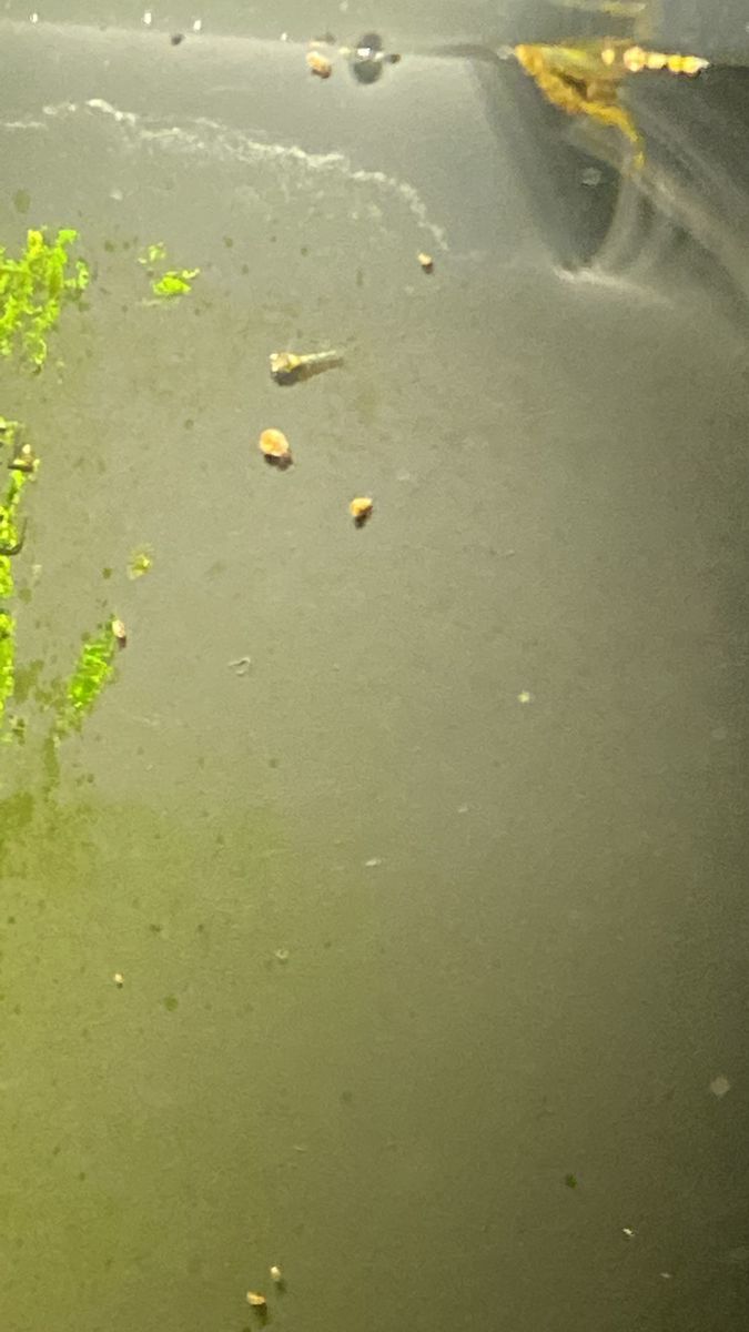 WhatsApp Image 2022-05-19 at 2.11.03 PM.jpeg