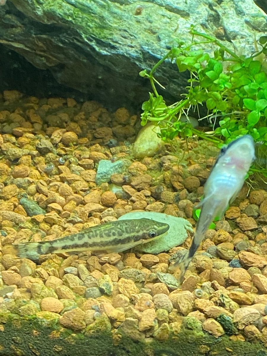 WhatsApp Image 2022-05-19 at 2.16.29 PM.jpeg