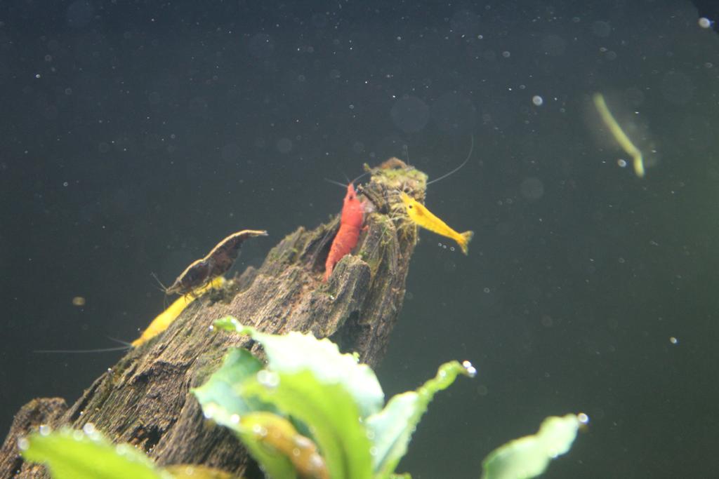 WhatsApp Image 2022-10-01 at 8.18.50 PM (2).jpeg