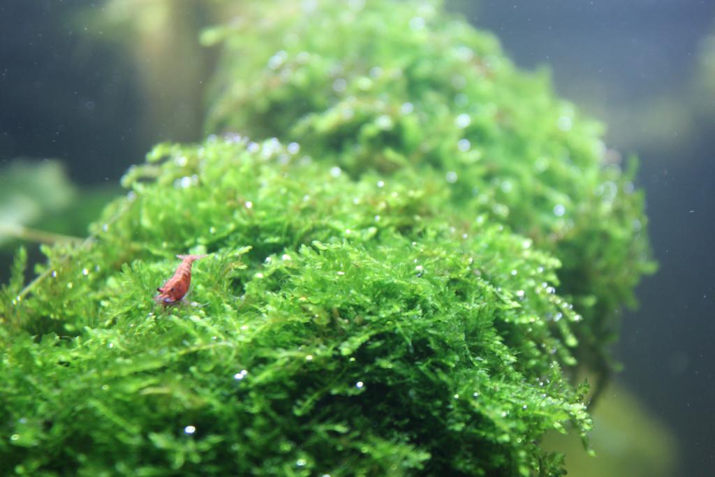 WhatsApp Image 2022-10-01 at 8.18.50 PM (3).jpeg