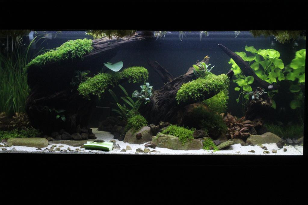 WhatsApp Image 2022-10-01 at 8.18.50 PM (4).jpeg