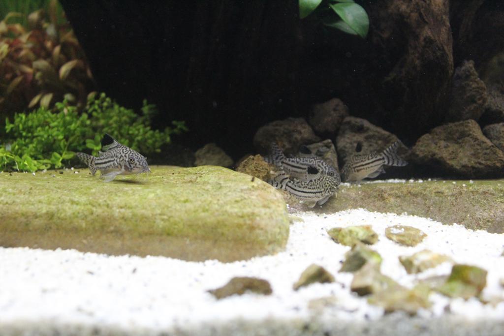 WhatsApp Image 2022-10-01 at 8.18.50 PM (5).jpeg