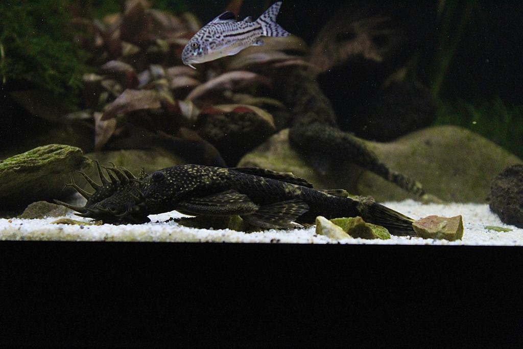 WhatsApp Image 2022-10-01 at 8.25.16 PM.jpeg