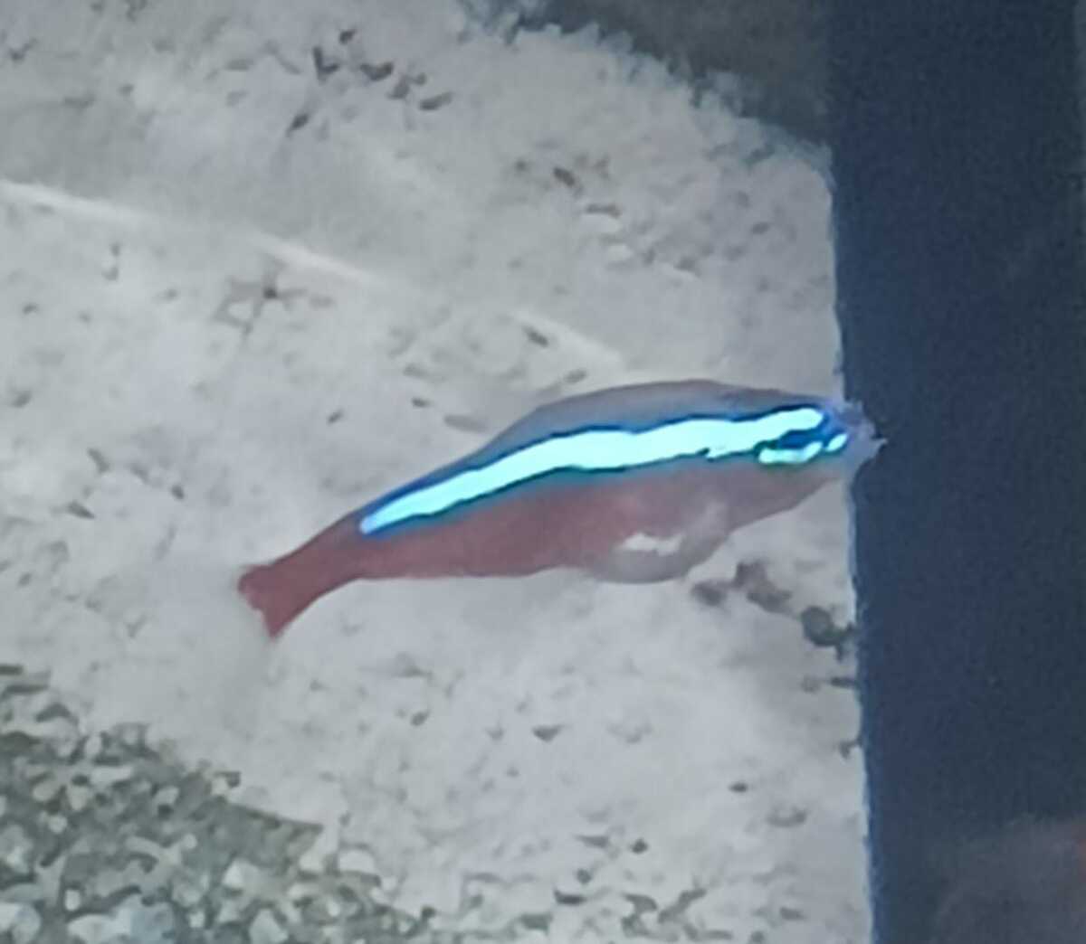 WhatsApp Image 2023-01-13 at 17.07.30.jpeg