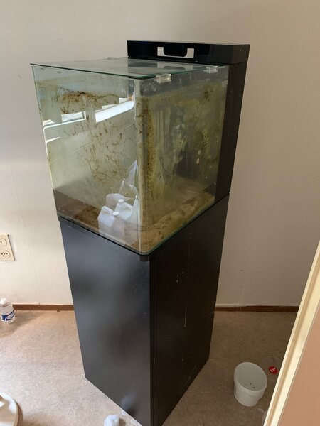 WhatsApp Image 2023-06-06 at 19.47.02.jpeg