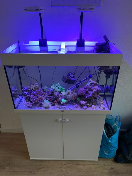 WhatsApp Image 2023-06-06 at 20.01.19.jpeg