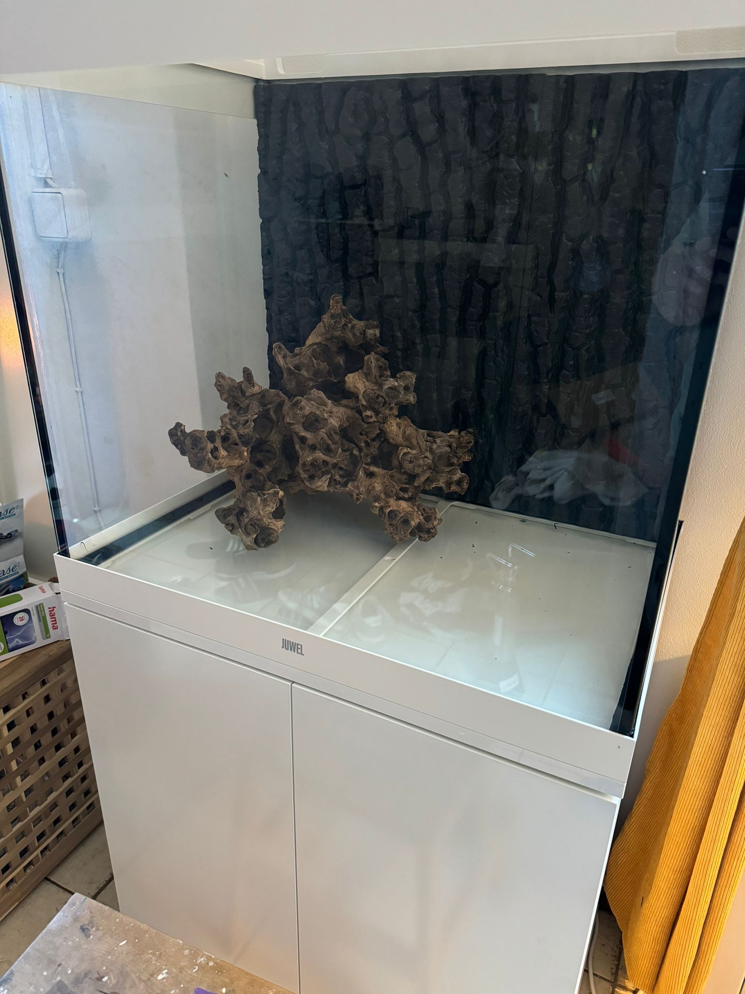 WhatsApp Image 2024-08-05 at 21.43.22.jpeg