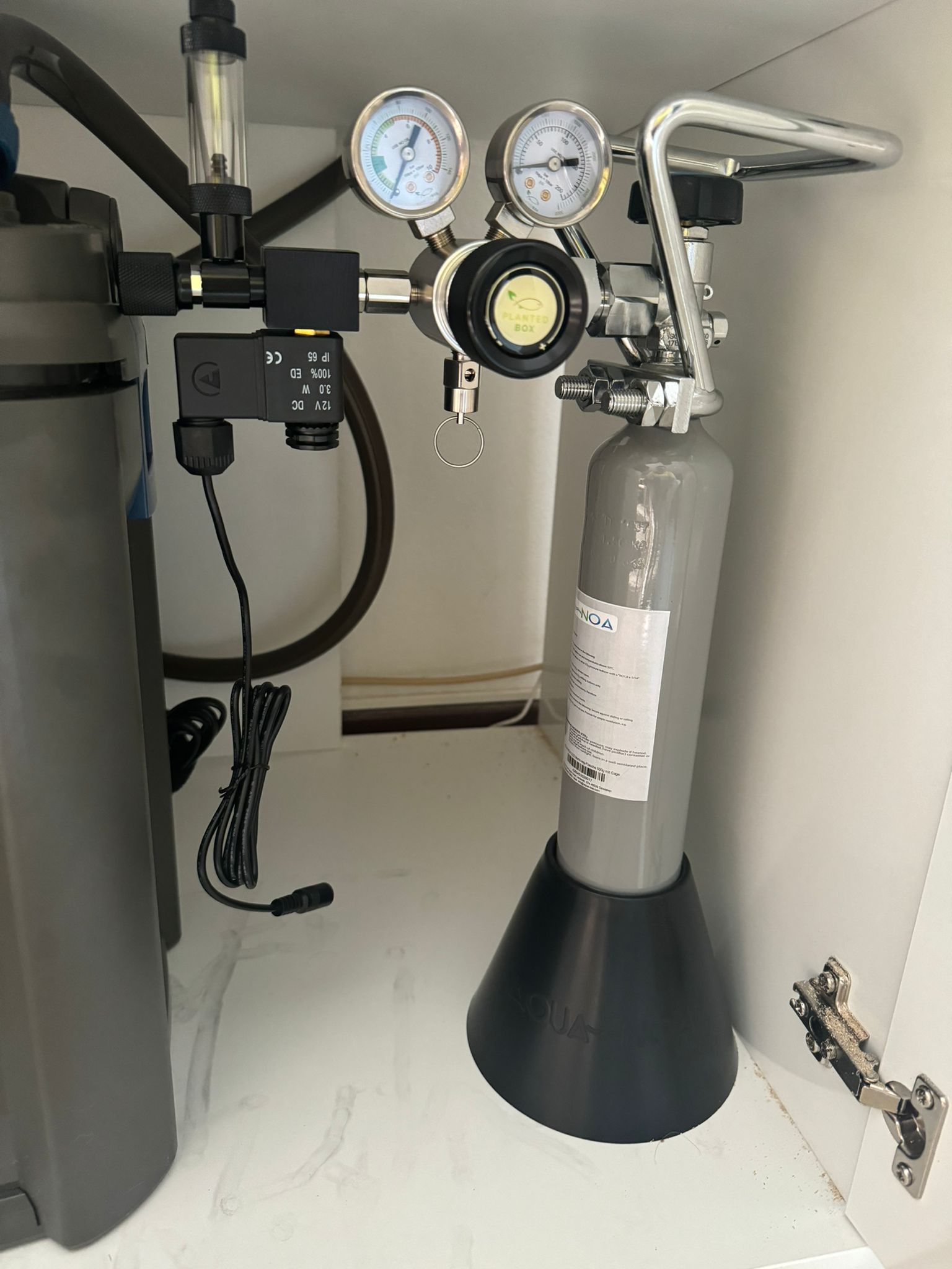 WhatsApp Image 2024-08-06 at 17.50.09 (1).jpeg