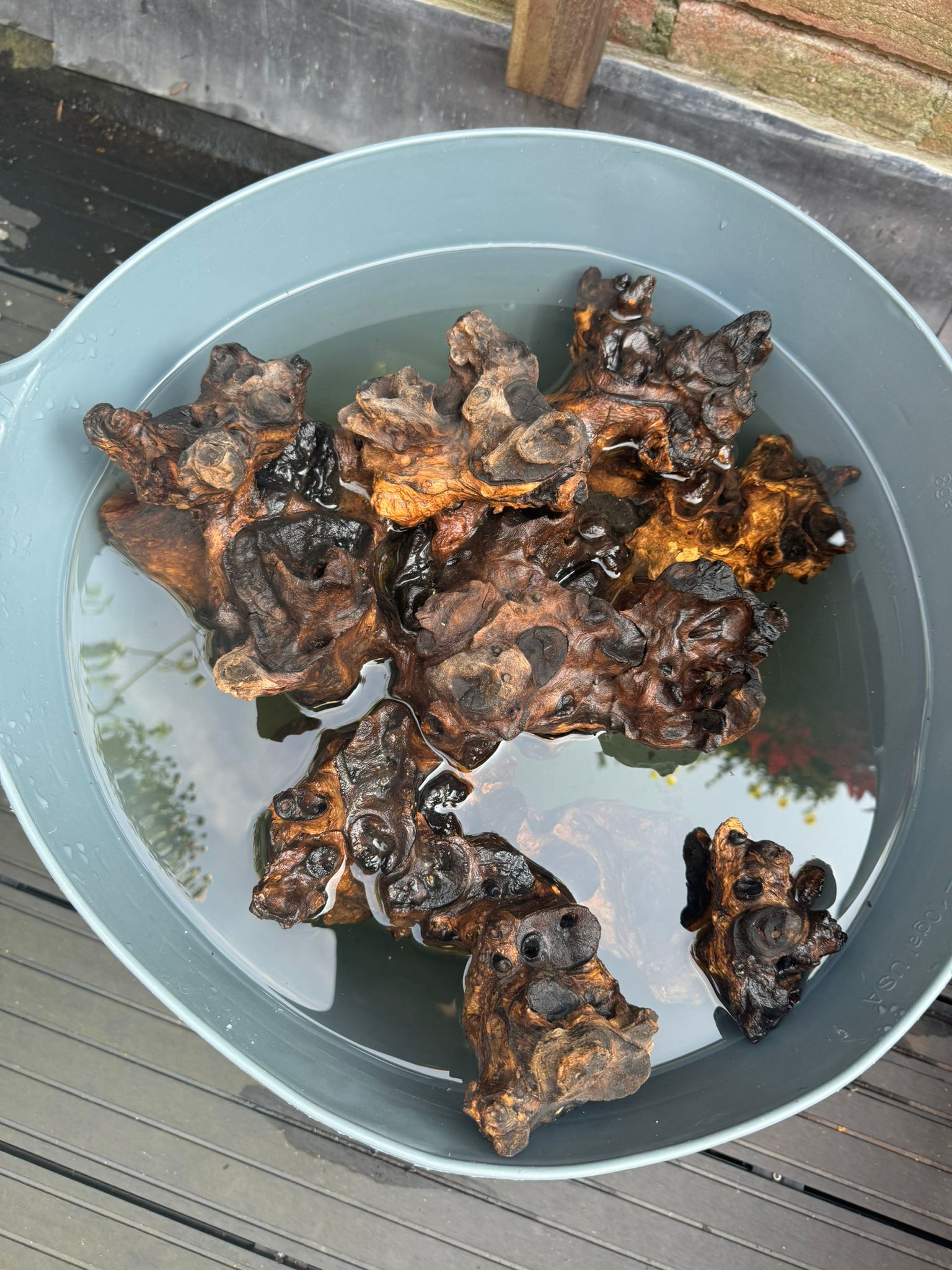 WhatsApp Image 2024-08-06 at 17.50.13 (1).jpeg