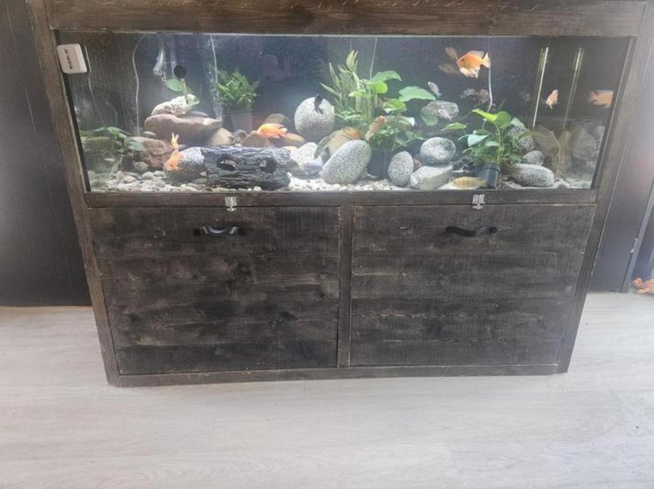 Het aquarium op de marktplaatsadvertentie