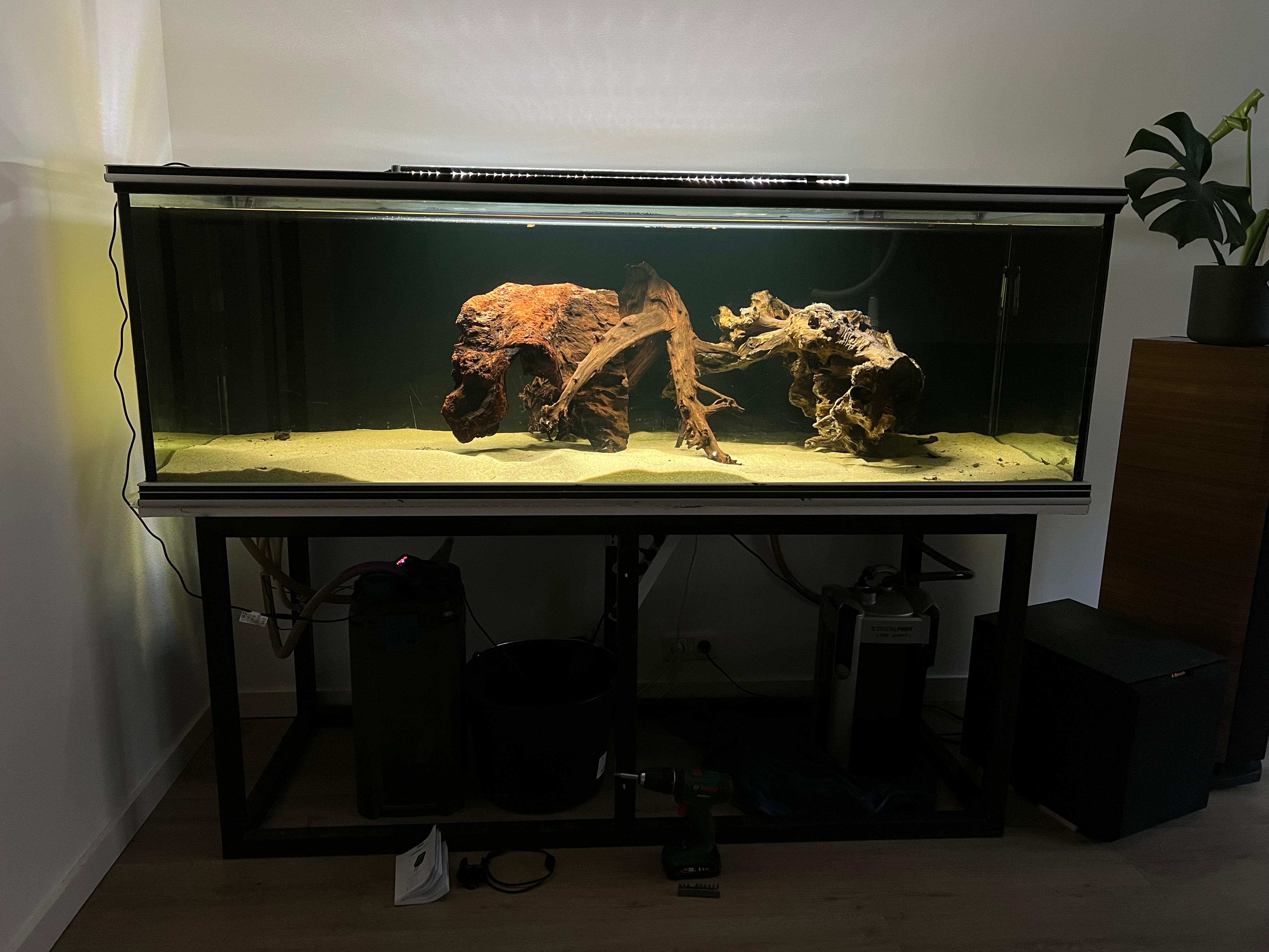 WhatsApp Image 2025-04-30 at 11.22.30 (2).jpeg