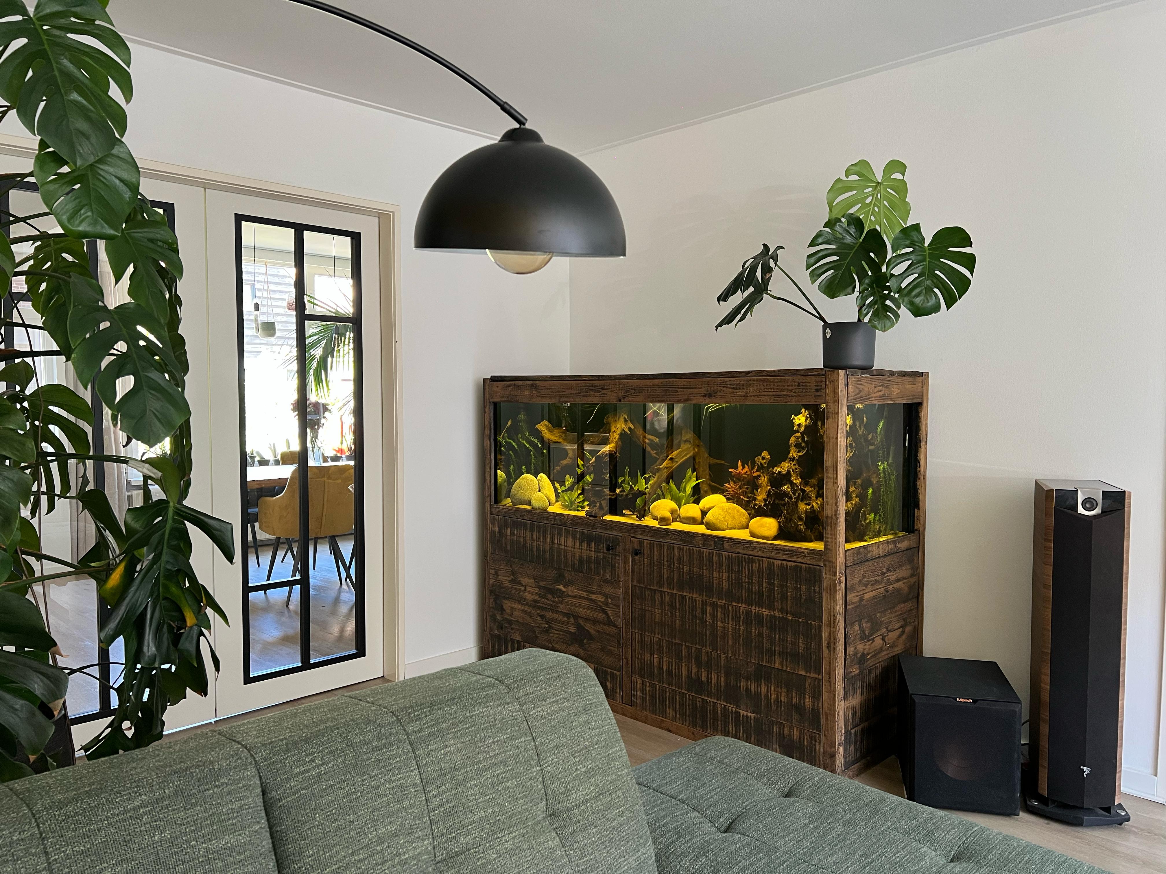 WhatsApp Image 2025-04-30 at 12.15.57.jpeg