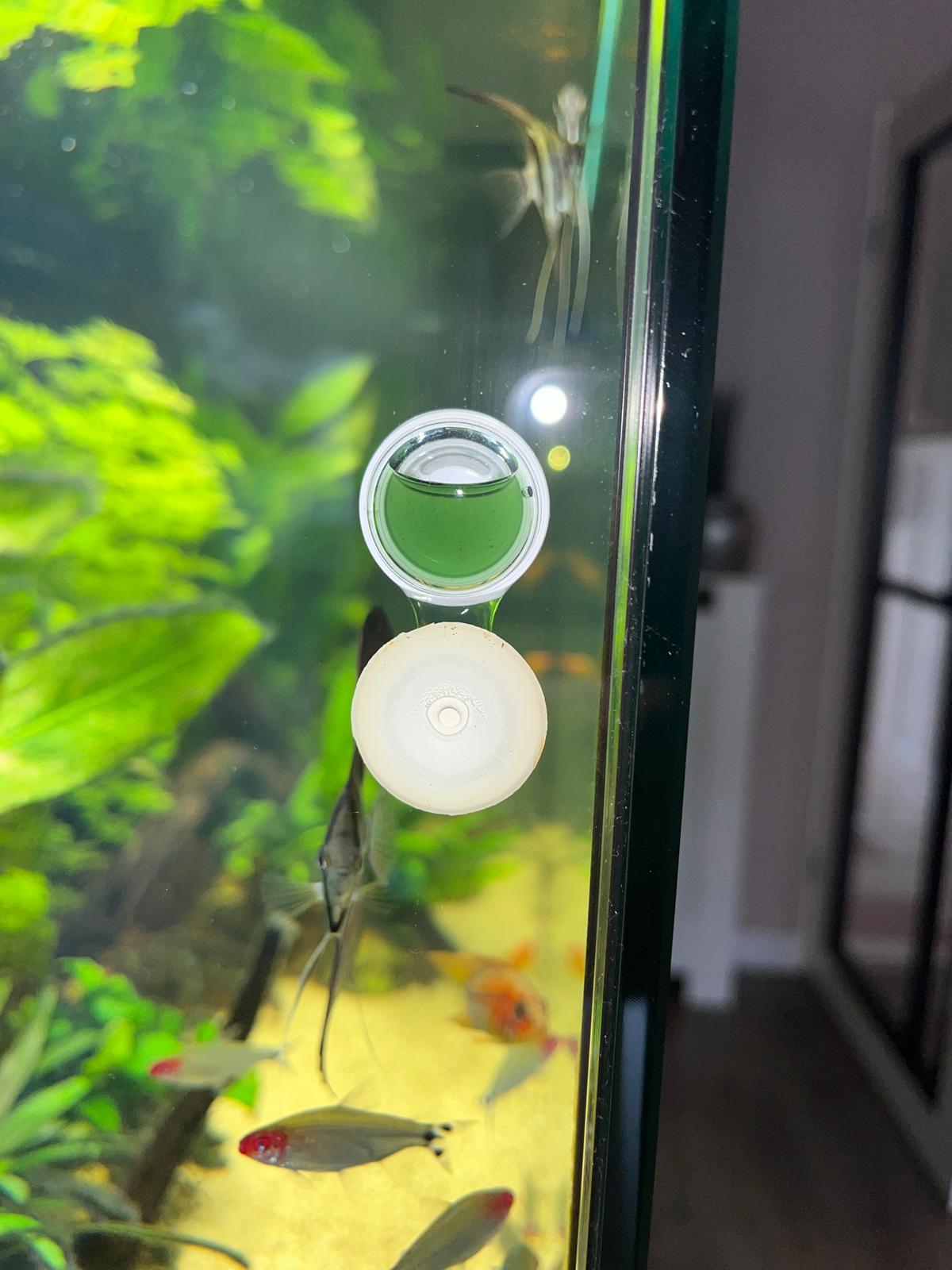 WhatsApp Image 2025-10-18 at 17.31.55_dbd2bd2b.jpg