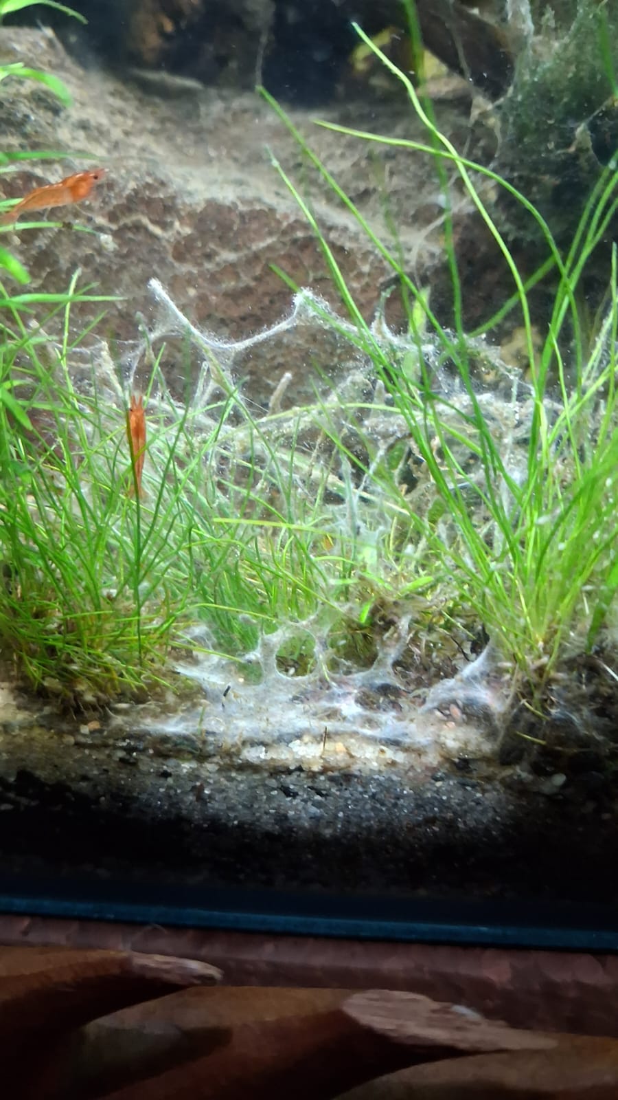 WhatsApp Image 2026-01-15 at 08.47.20 (1).jpeg