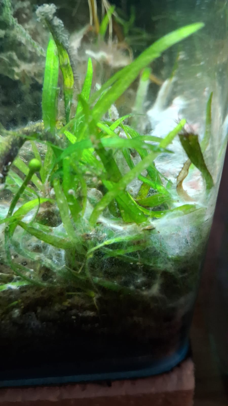 WhatsApp Image 2026-01-15 at 08.47.20 (2).jpeg