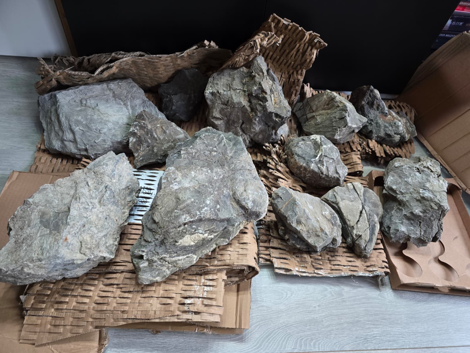 WhatsApp Image 2026-02-27 at 16.34.08.jpeg