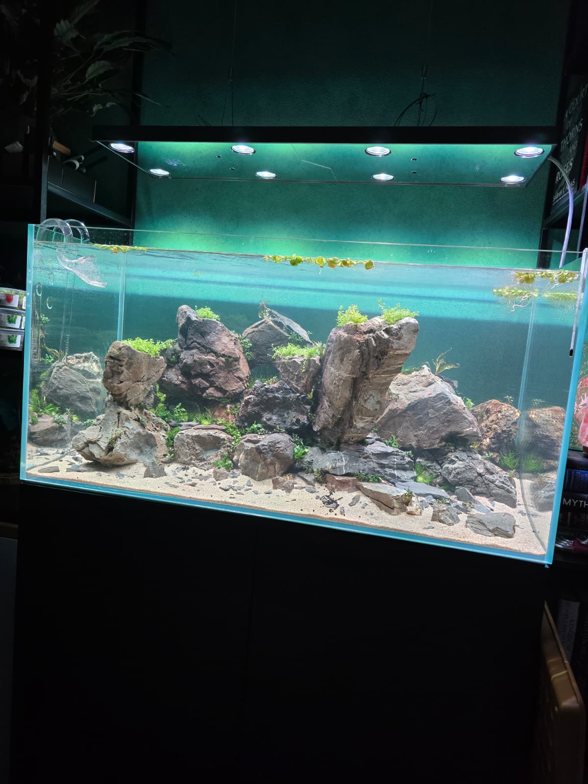 WhatsApp Image 2026-03-20 at 19.54.15.jpeg