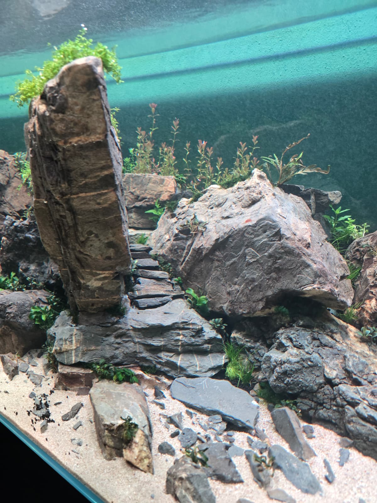 WhatsApp Image 2026-03-27 at 09.16.58(2).jpeg