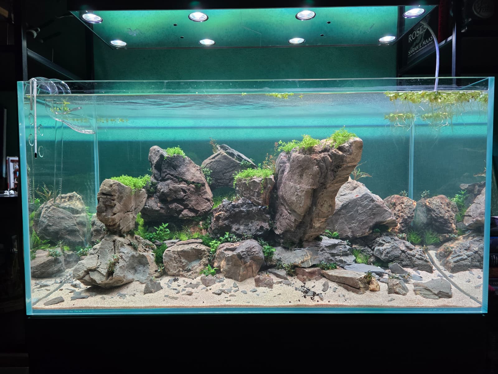 WhatsApp Image 2026-03-27 at 09.16.58.jpeg