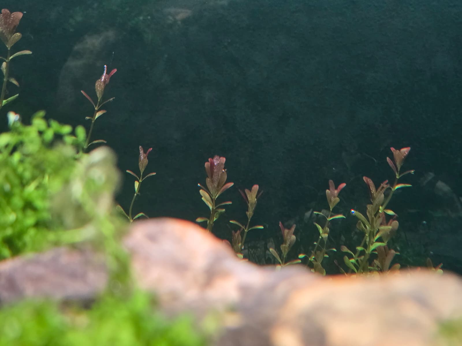 WhatsApp Image 2026-03-27 at 09.16.59.jpeg