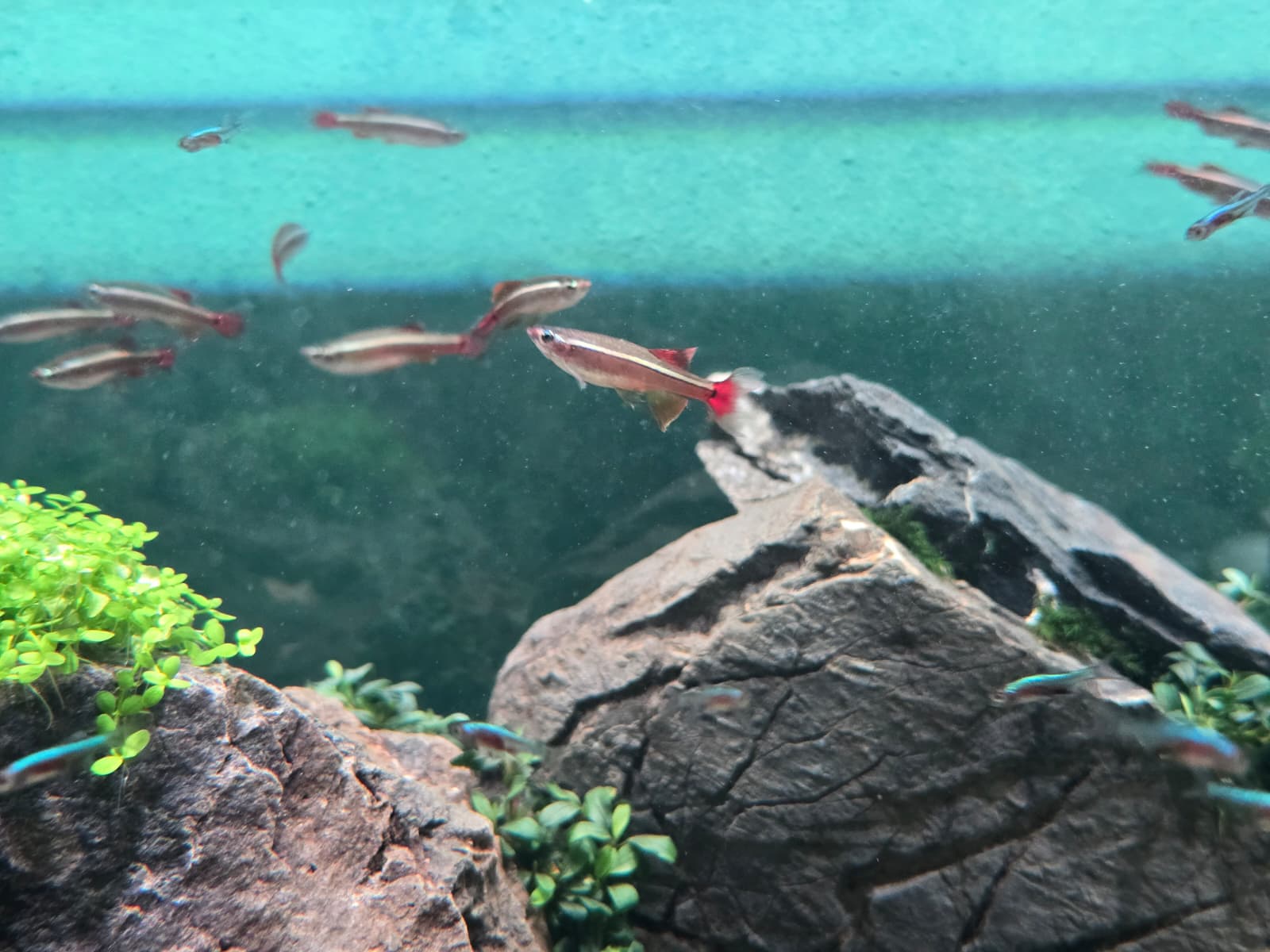 WhatsApp Image 2026-04-02 at 14.53.34.jpeg