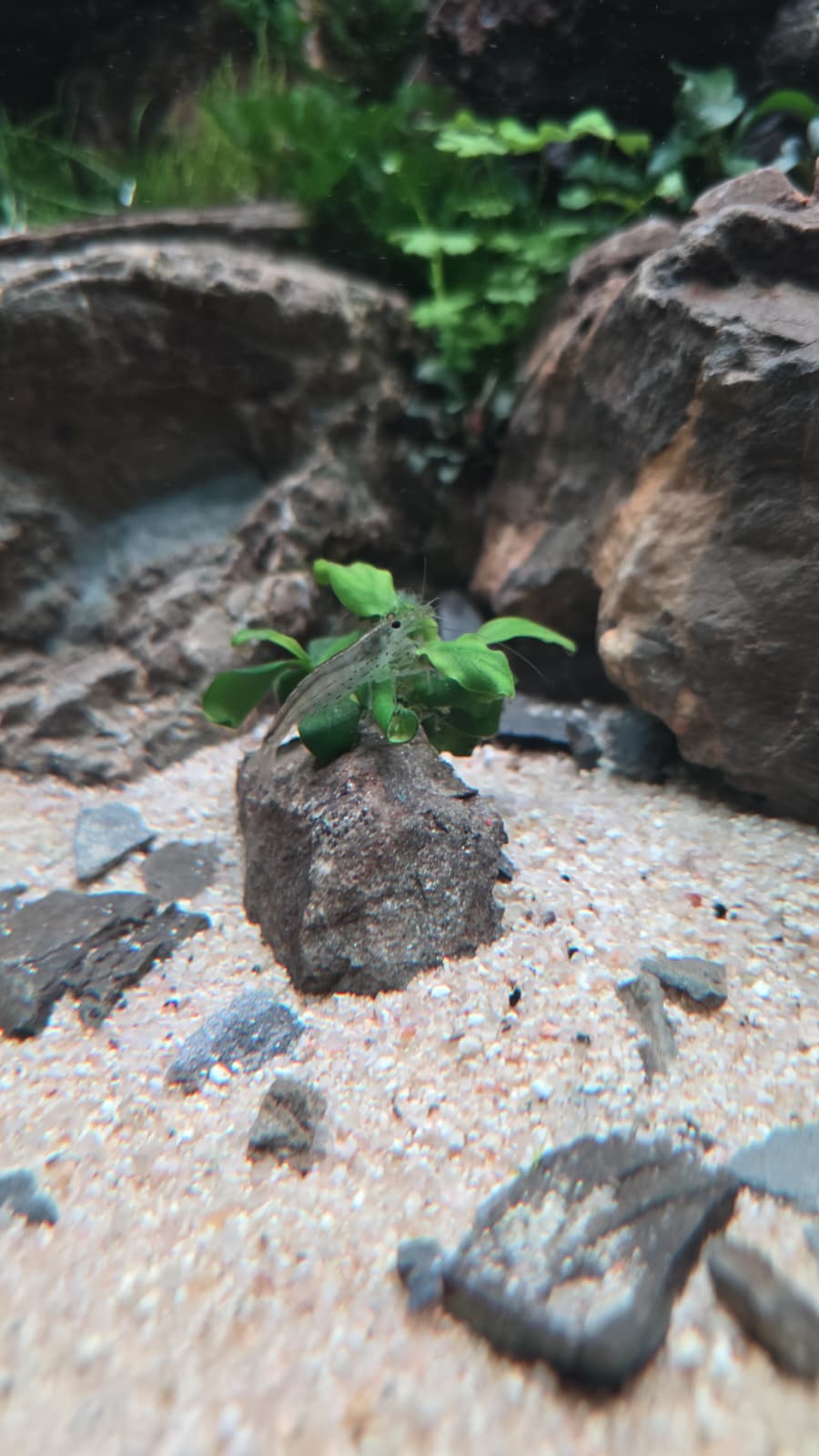 WhatsApp Image 2026-04-02 at 21.31.51.jpeg