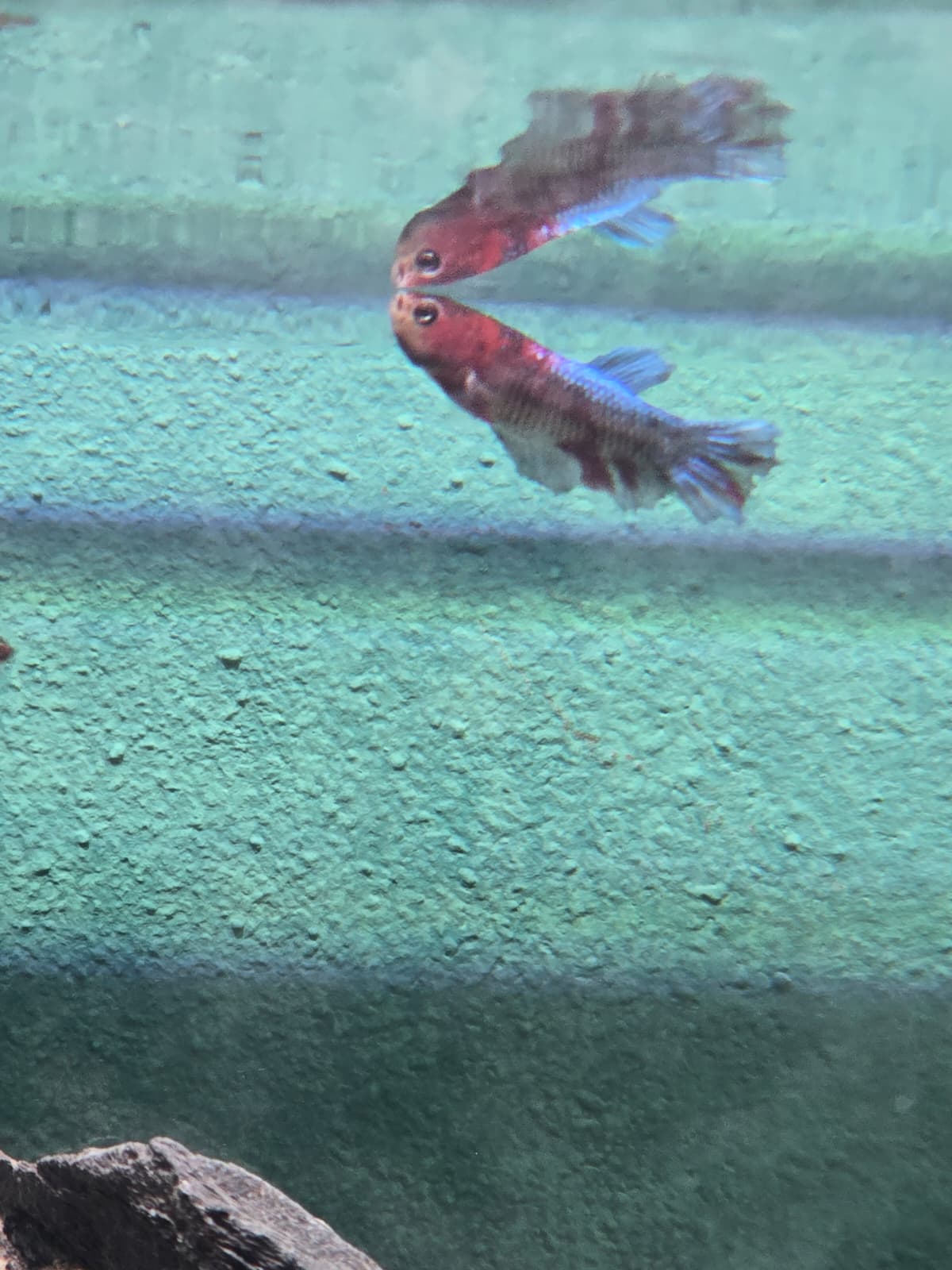 WhatsApp Image 2026-04-03 at 14.44.57.jpeg