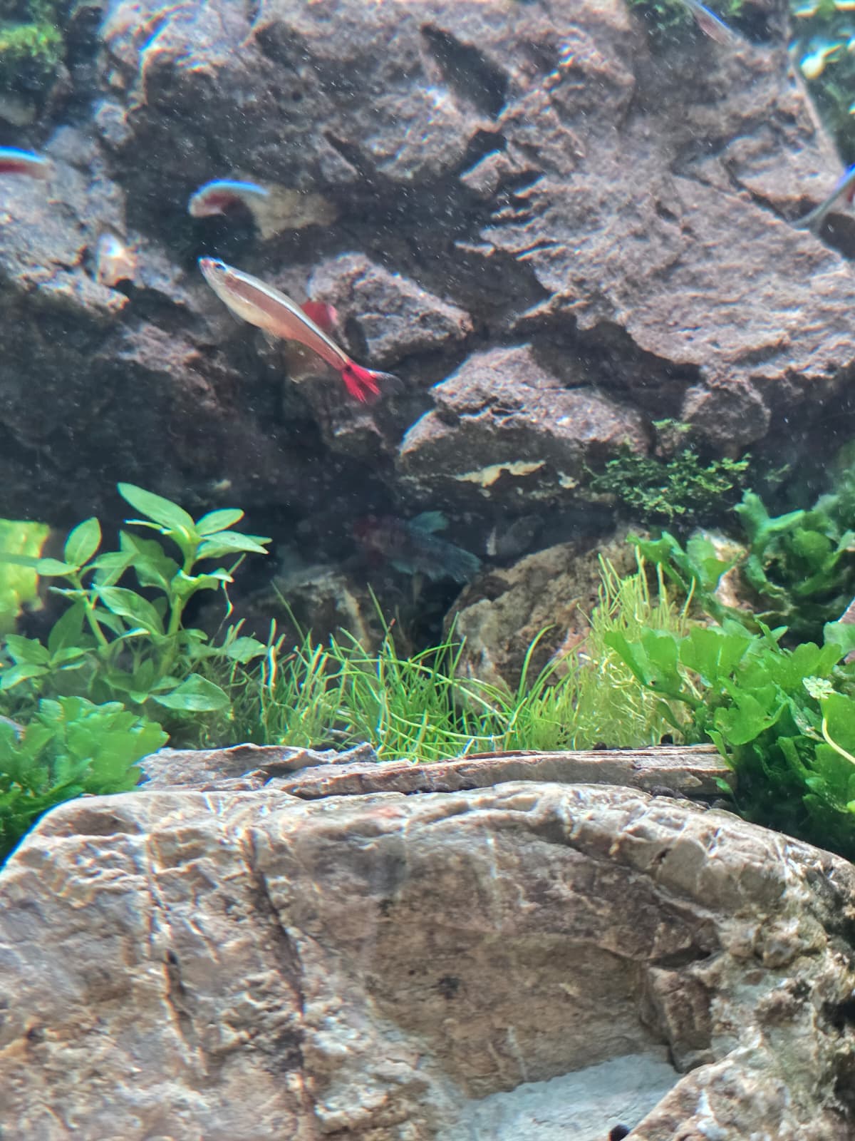 WhatsApp Image 2026-04-03 at 14.44.58(1).jpeg