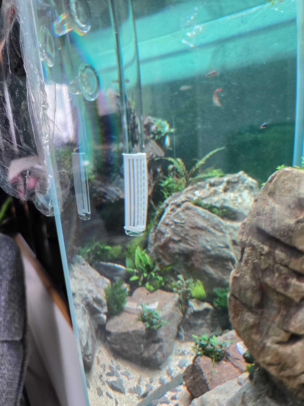 WhatsApp Image 2026-04-03 at 14.44.58.jpeg