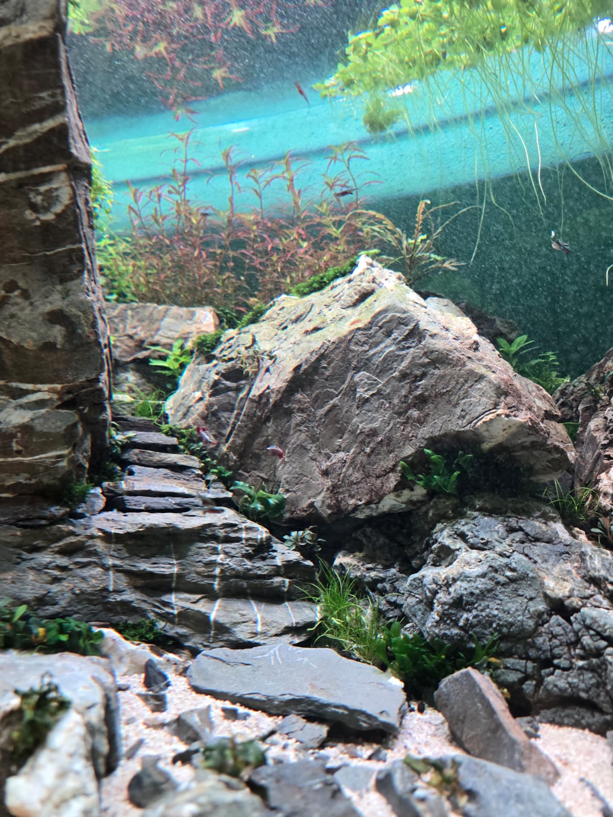 WhatsApp Image 2026-04-09 at 19.23.25(1).jpeg