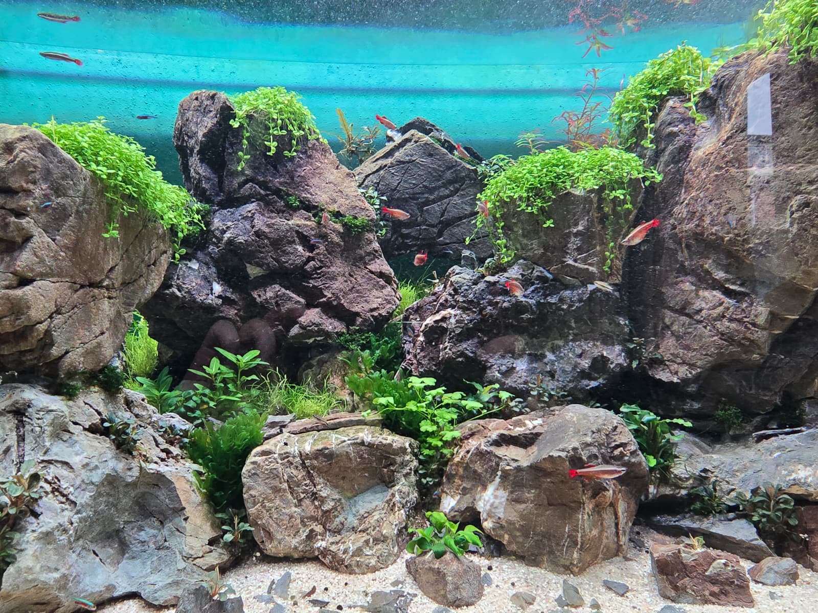 whatsapp-image-2026-04-09-at-19-23-25-2-jpeg.395901