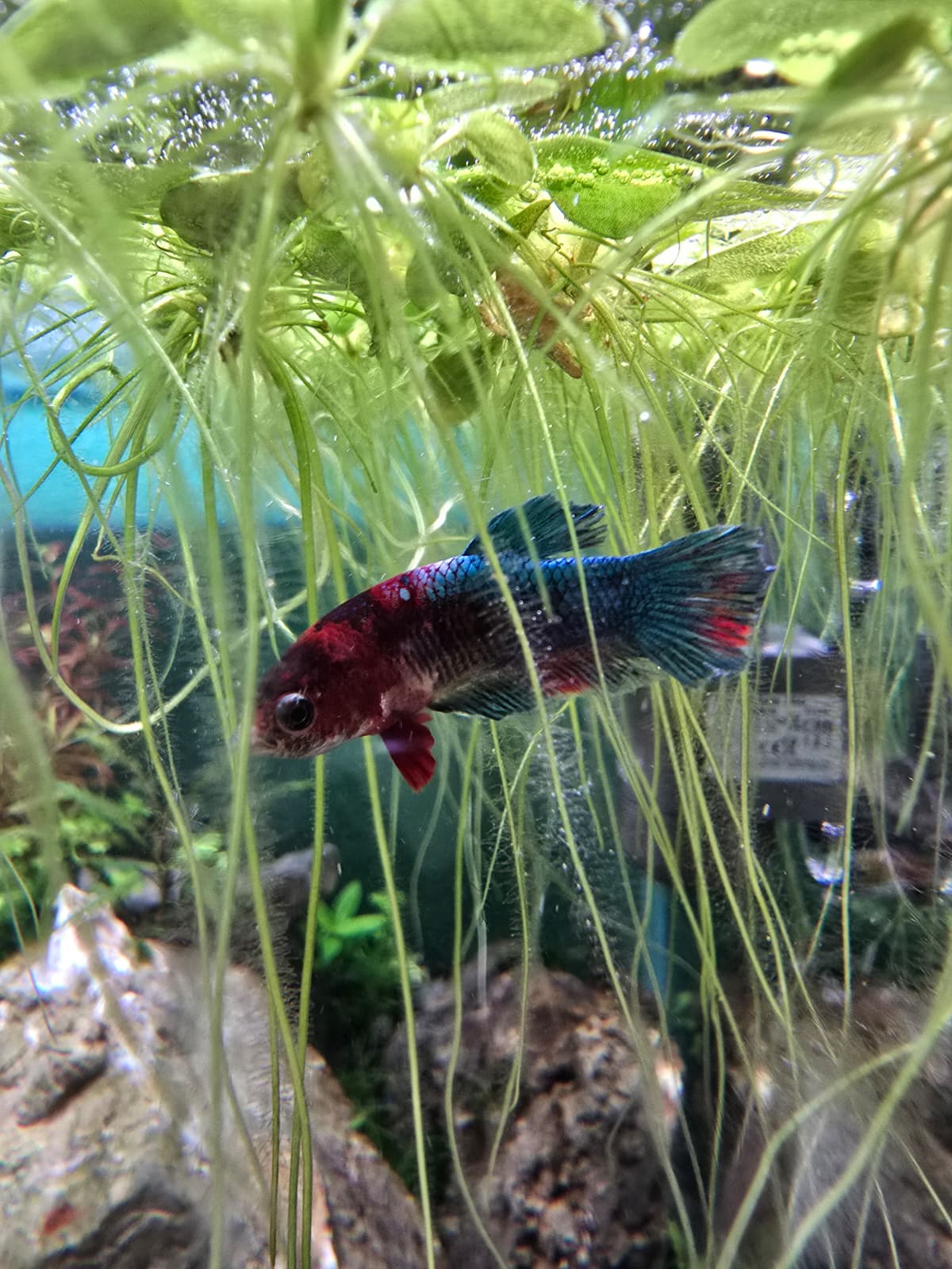 WhatsApp Image 2026-04-11 at 19.59.33(1).jpeg