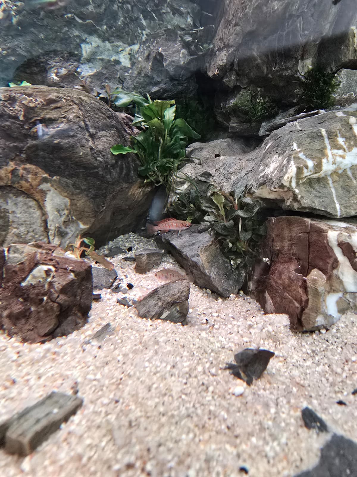 WhatsApp Image 2026-04-12 at 13.20.01.jpeg